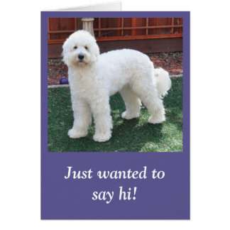 Goldendoodle all occasion card