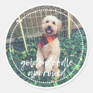 Goldendoodle Approved Dog Sticker