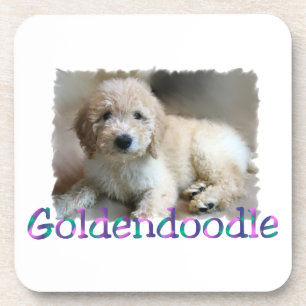 Goldendoodle Art Coaster