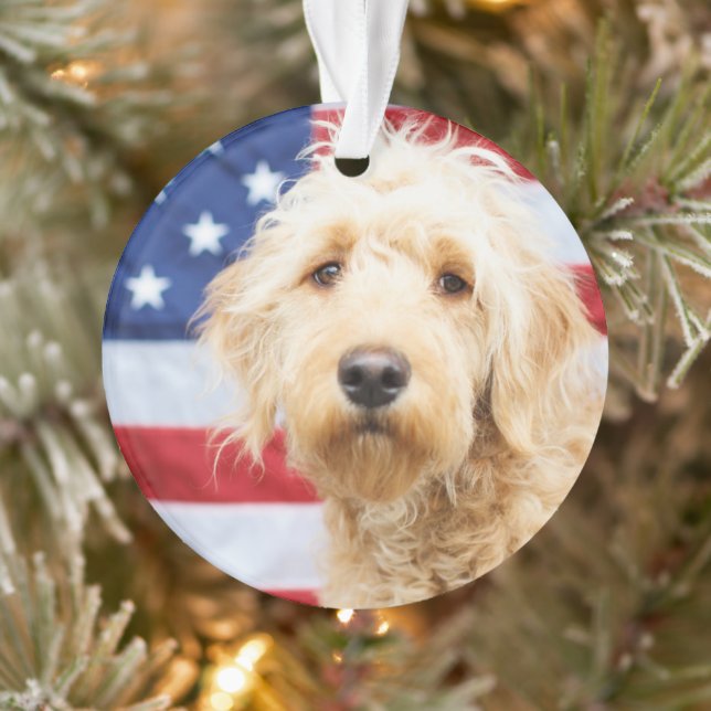 Goldendoodle avec drapeau américain (Arbre)