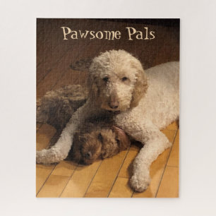 Goldendoodle Best Friends – Adorable Dog Duo  Jigsaw Puzzle