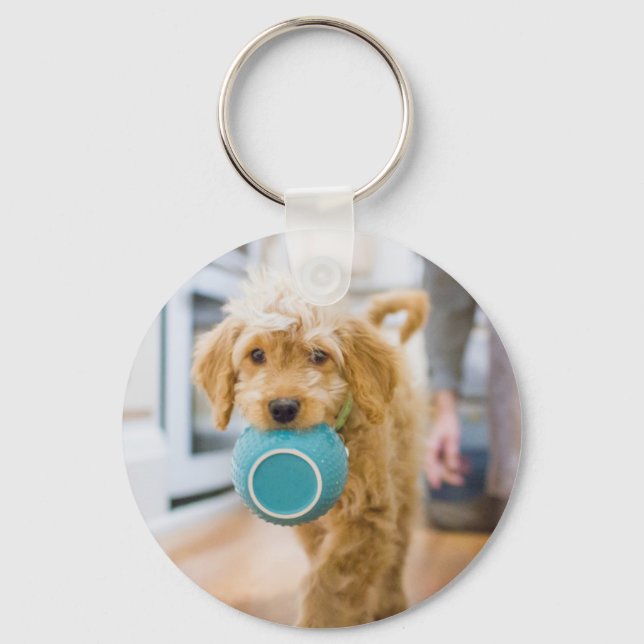 Goldendoodle Carrying Dinner Bowl Keychain (Front)