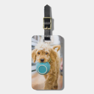 Goldendoodle Carrying Dinner Bowl Luggage Tag