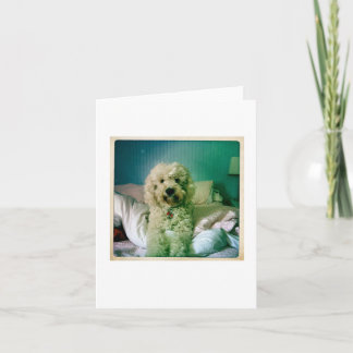Goldendoodle Carte pour notes mignon