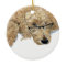 Goldendoodle