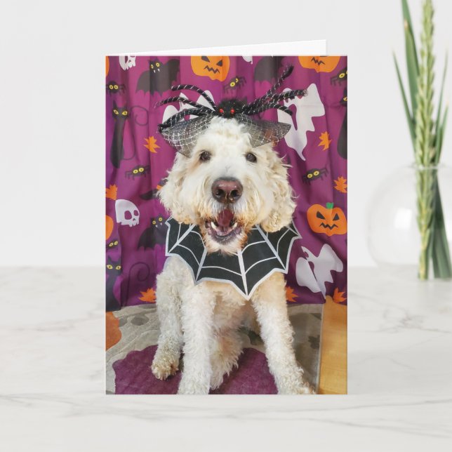 Goldendoodle chien Carte Halloween (Devant)