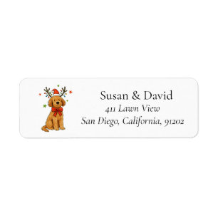 Goldendoodle Chien Noël Chapeau de Père Noël Andou