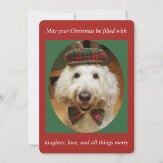 Goldendoodle Christmas card