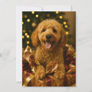 Goldendoodle Christmas Card