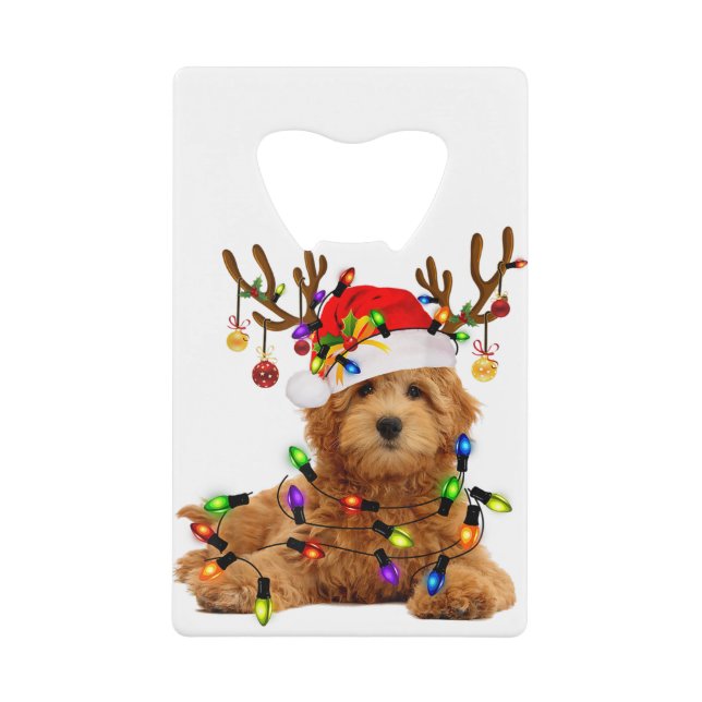 Goldendoodle christmas reindeer christmas lights p credit card bottle opener (Front)