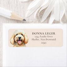 Goldendoodle Dog Adresse personnalisée