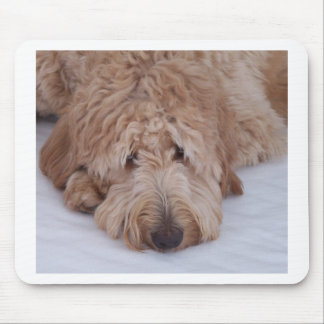 GoldenDoodle Dog Gift Mousepads / Mousemats