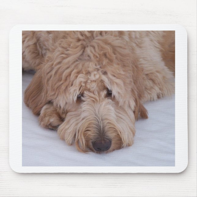GoldenDoodle Dog Gift Mousepads / Mousemats (Front)
