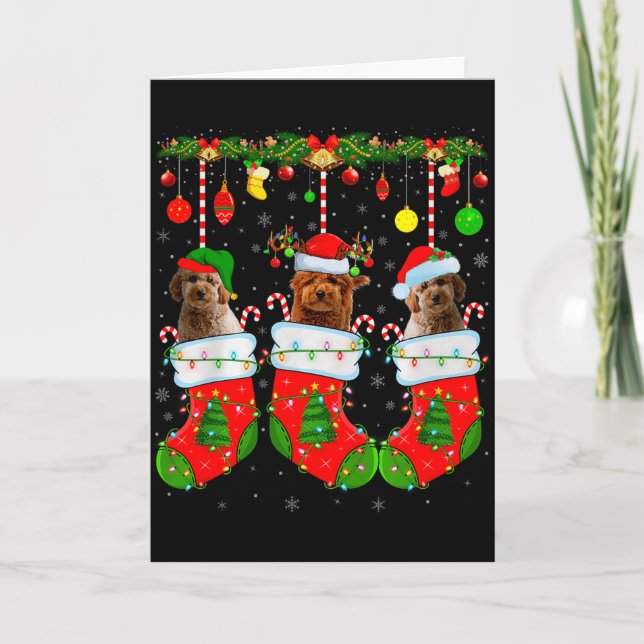 Goldendoodle Dog In Christmas Socks Funny Pet Dog  Card (Front)