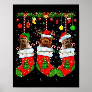 Goldendoodle Dog In Christmas Socks Funny Pet Dog Poster