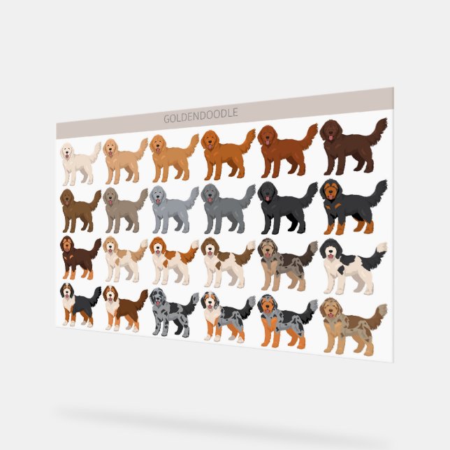 Goldendoodle dog mix acrylic sign (Angle)