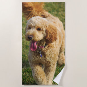 Goldendoodle Dog Photo Beach Towel