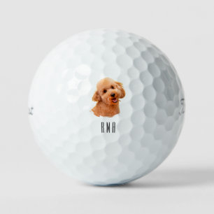 Goldendoodle Golden Doodle Golf Balls