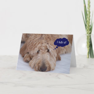 Goldendoodle "I lub u!" card