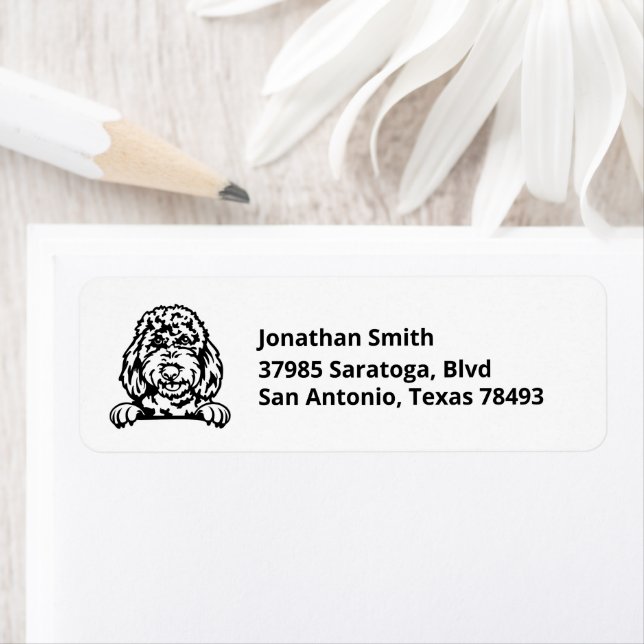 GOLDENDOODLE | Image on Return Address (Insitu)