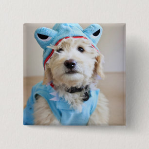 Goldendoodle In Shark Costume 2 Inch Square Button