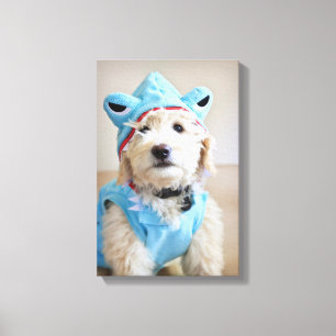 Goldendoodle In Shark Costume Canvas Print