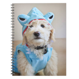 Goldendoodle In Shark Costume Notebook