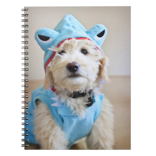 Goldendoodle In Shark Costume Notebook (Front)