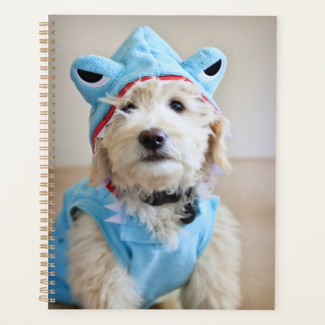 Goldendoodle In Shark Costume Planner (Front)