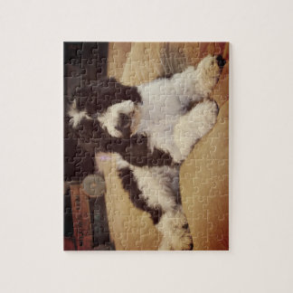 Goldendoodle Jigsaw Puzzle