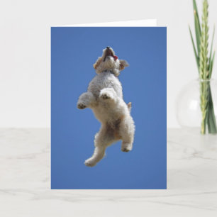 Goldendoodle Jumping Greeting Card