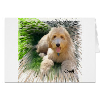 Goldendoodle Labradoodle