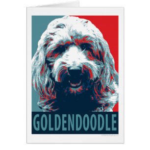 GOLDENDOODLE par Hope Dogs
