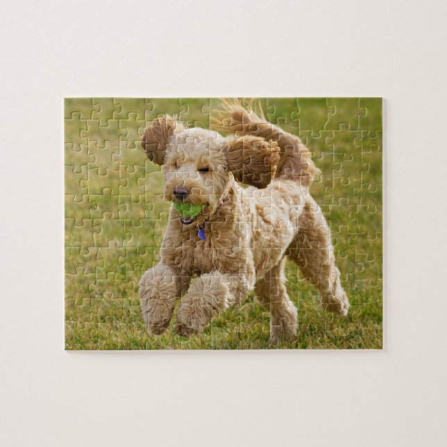 Goldendoodle Playing Fetch Jigsaw Puzzle (Horizontal)