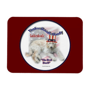 Goldendoodle Poliltical Humour Magnet