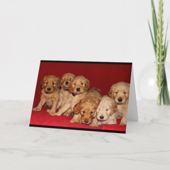Goldendoodle Puppies Thinking Of You Card (Front)