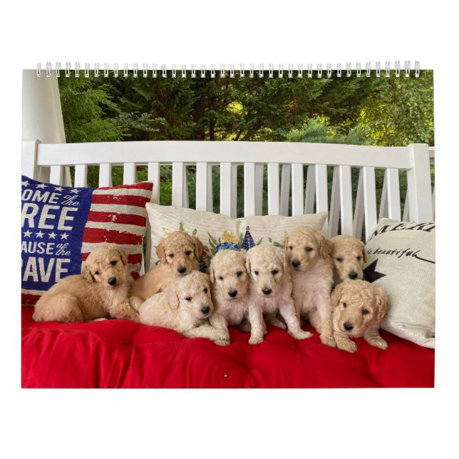 Goldendoodle Puppy Calendar (Back)