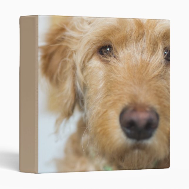 Goldendoodle Puppy Closeup Binder (Front/Spine)
