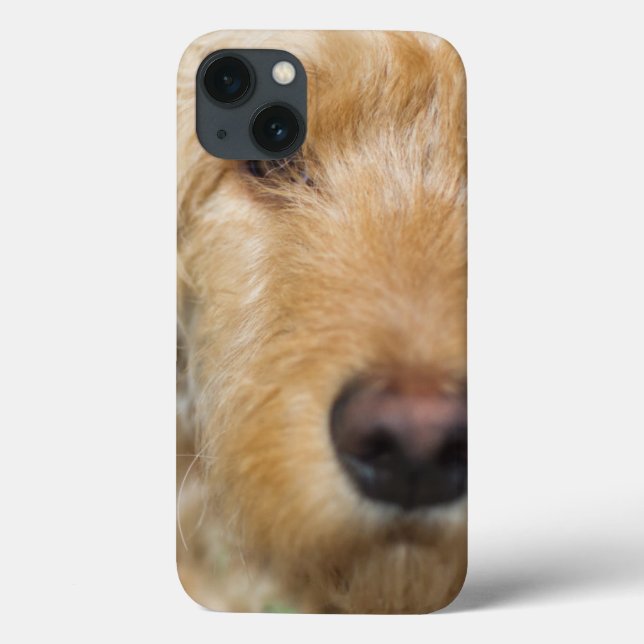 Goldendoodle Puppy Closeup Case-Mate iPhone Case (Back)