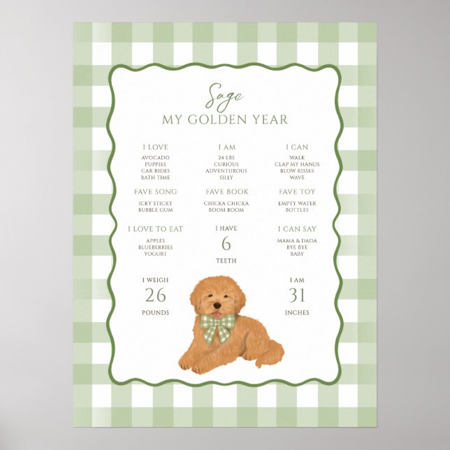 Goldendoodle Puppy Dog 1st Birthday Milestone  Poster (Front)