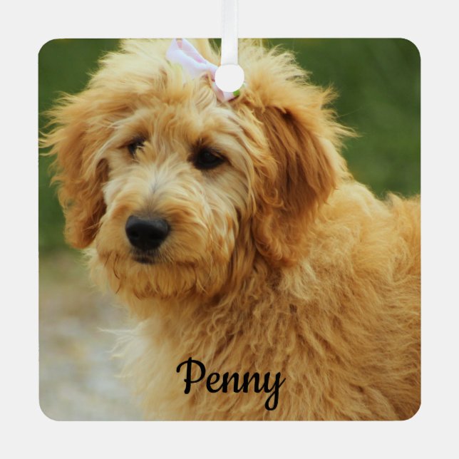 Goldendoodle Puppy Dog Metal Ornament (Front)