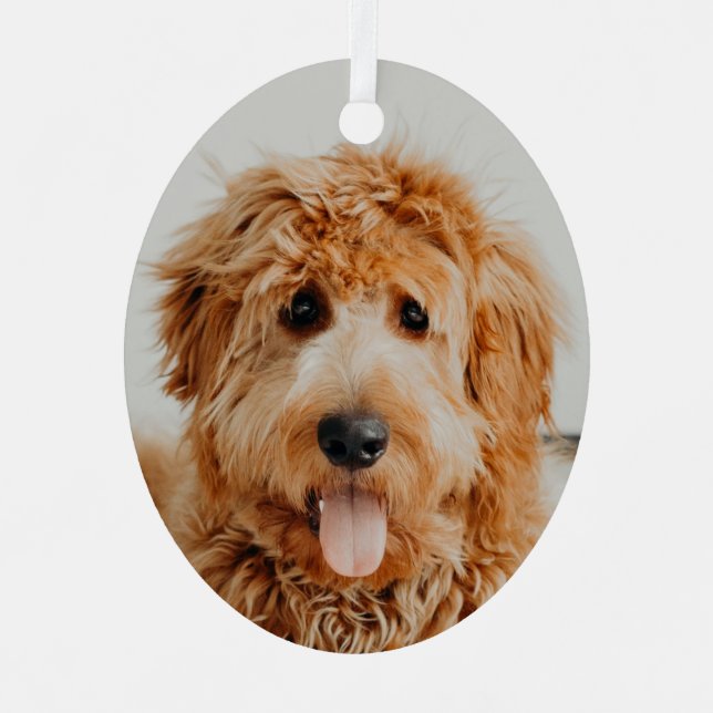 Goldendoodle Puppy Dog Metal Ornament (Front)