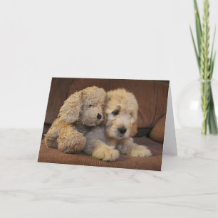 Goldendoodle Puppy Greeting Card
