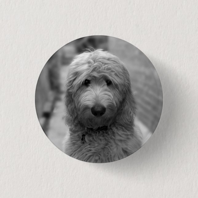 Goldendoodle Puppy In Backyard 1 Inch Round Button (Front)