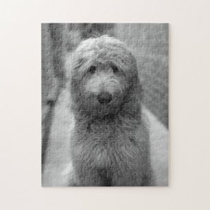 Goldendoodle Puppy In Backyard Jigsaw Puzzle