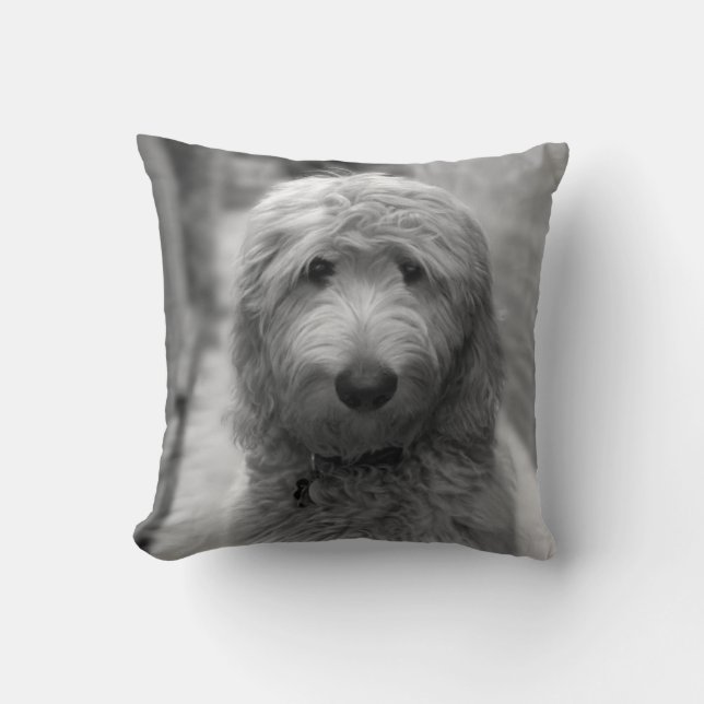 Goldendoodle Puppy In Backyard Throw Pillow (Front)