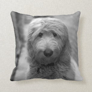 Goldendoodle Puppy In Backyard Throw Pillow