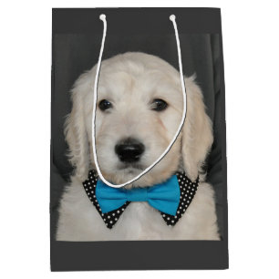 Goldendoodle puppy in bow tie gift bag