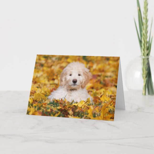 Goldendoodle Puppy In Fall Leaves Card (Front)