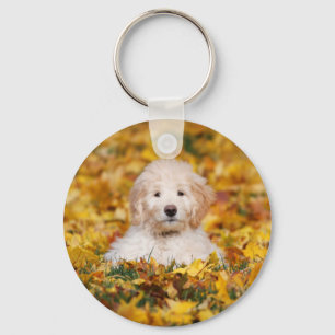 Goldendoodle Puppy In Fall Leaves Keychain